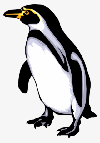 Svg Black And White Flightless Bird Waddles On Ice - Body Penguin Parts