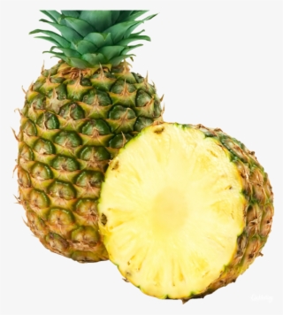 Imagenes De Piña Sin Fondo