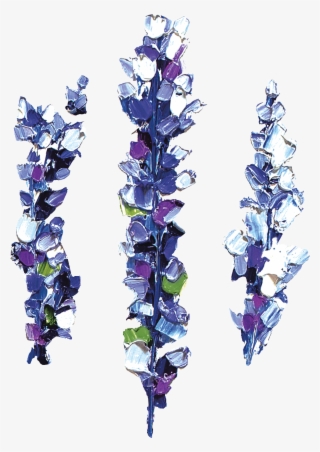 Lavender - Лаванда Пнг