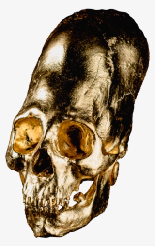 Alien Skull No - Skull