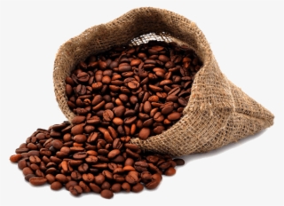 Good Coffee For Everyone - Transparent Background Coffee Beans Png