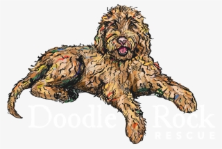 Cartoon Labradoodle Png