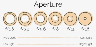 So, If You Are In A Bright Light Situation And Already - Circle