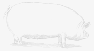 600 X 600 1 - Sketch