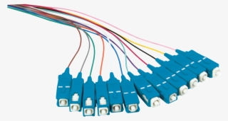 Fl0sc02 Colored Pigtail Set 12x Sc, Os2, 2m, Blue Connector - Graphics