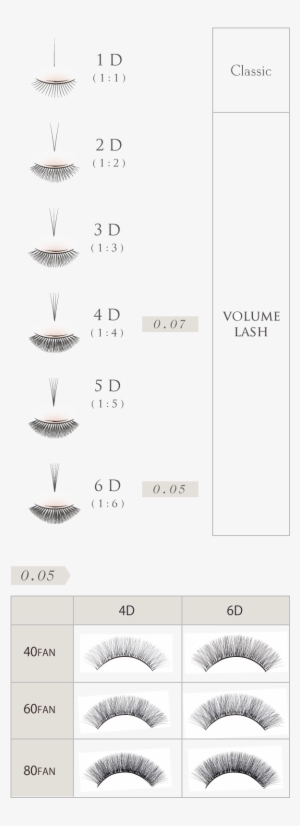 Img 0503csp 640×1,682 Pixels - Volume Lashes Menu