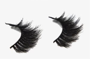 Individual Lash Extensions Are Applied To Each Lash