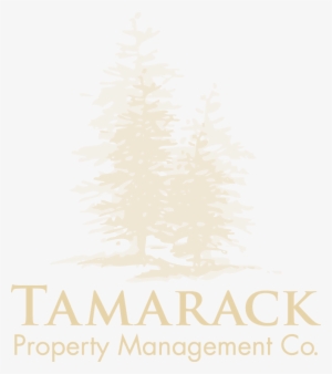 Missoula Property Logo - Limra Travels