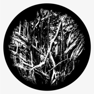 Tree Roots - Apollo Design 0248 Tree Roots B&w Superresolution