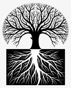 Tree Roots Png For Kids
