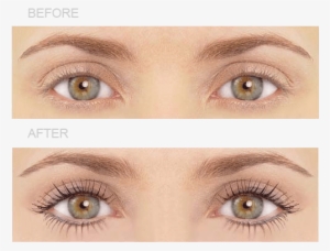 Lvl-lashes - Lvl Lashes