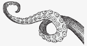 Tentacle - Tentacles Drawing