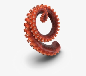 Octopus Tentacles Png Hd - Tentacle