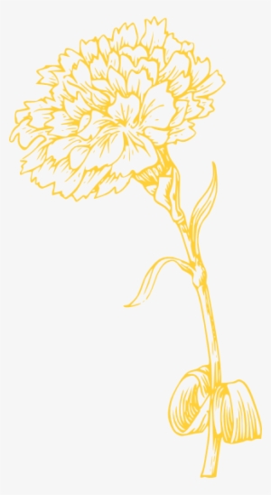 Yellow Carnation Svg Clip Arts 324 X 592 Px
