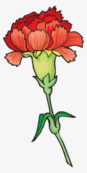 Carnation Flower Clipart - Carnation Clipart