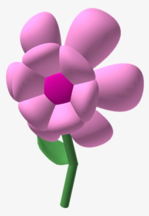 Pink Carnation - Cut Flowers