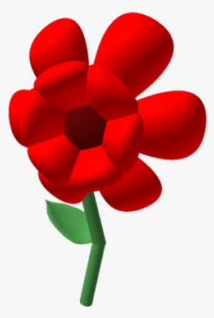 Hybrid Carnation