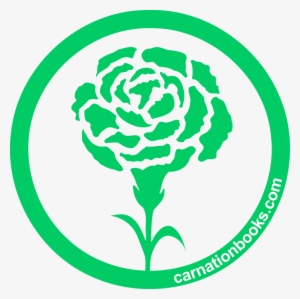 Carnation Png