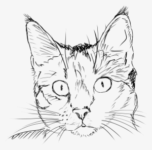 How To Set Use Cat Face Clipart