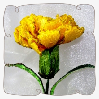 Yellow Carnation - Yellow