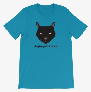 Resting Cat Face T-shirt - Thou Shall Not Try Me Mood 24 7