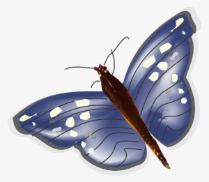 Mariposa 9