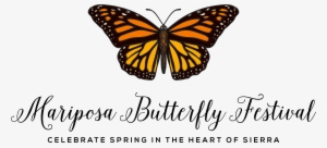 Scientific American Mariposa Butterfly Festival - Nobody Told Me What Beautiful Looked Like