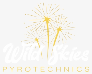 Clip Freeuse Library Wild Skies Pyrotechnics Stunning - Fireworks