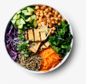 The Plant Yyz X Brain Food - Food