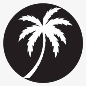 Palm Silhouette Projected Image - Palm Tree Transparent Silhouette