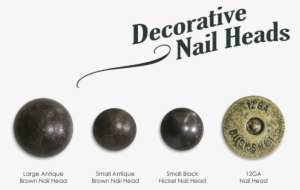 Heads Holiday Shores Nailheads - Nail