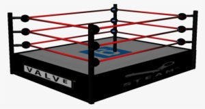 Wrestling Ring Png - History Of Professional Wrestling Vol. 1