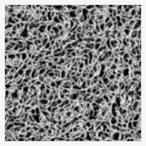 Black And White Halftone Dot Dots Pattern - Halftone