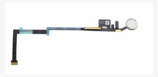 String Festoon Lights