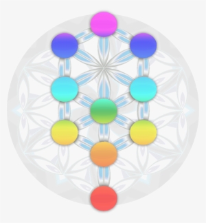 A Sacred Geometry Experience - Circle