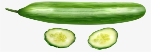 Cucumber Clipart - Clipart Cucumber Png
