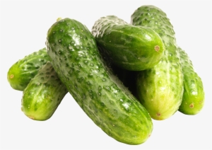 Cucumber Png