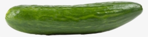 Cucumber Png Pic - Cucumber Png