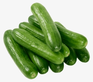 Gourd Clipart Single Vegetable - Cucumbers Clipart