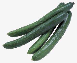 Cucumber - Cucumbers Png