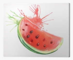 Watercolor Painting, Watermelon, Vector Illustration, - Wassermelone Watercolor