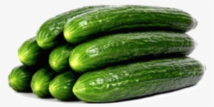Veg Cucumbers Organic English Cucumber - European Cucumbers