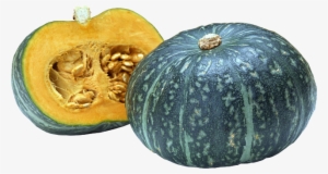 Pumpkin Png - Squash In Png File