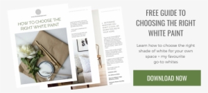 Blog Promo- Right White Guide - Blog