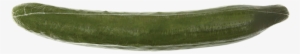 Cucumber - Snap Pea