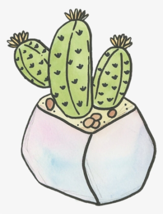 Watercolor - Barbary Fig