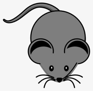 Mouse Png