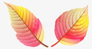 Free Png Download Colorful Fall Leaves Clipart Png - Colored Fall Leaves Png