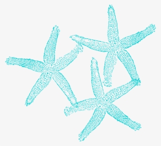 Starfish Clip Art At Clker - Coral Clipart Transparent Background