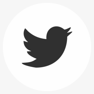 Twitter - Twitter Circle Logo White
